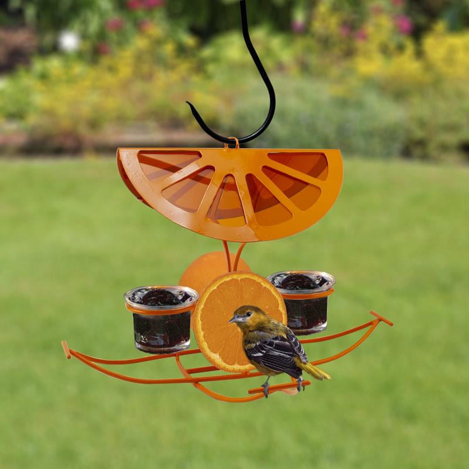 Panacea Audubon Sturdy Metal 4-Perch Fruit & Nut Bird Feeder, Orange