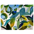 thumbnail image 1 of 14 x 18 in. Betsys Blueberries Place Mat - Set of 4, 1 of 1