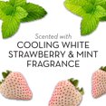 thumbnail image 2 of Olay Fresh Outlast Pain de Beauté Rafraîchissant Fraise Blanche & Menthe (4 Pains), 2 of 9