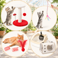 Kitten Starter Kit for Indoor Cats, Classic Red Small with 10 Pieces ...