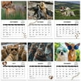 Elbeaqi Snow Dog Calendar 2025 Snow Dog Stool Calendar Each Month