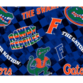 thumbnail image 2 of Official Licensed NCAA University of Florida Check Allover Fabric by the Yard, 2 of 3