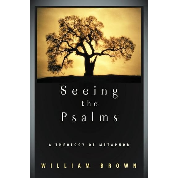 Seeing the Psalms, (Paperback)