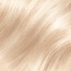Extra Light Ash Blonde