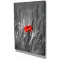 thumbnail image 2 of Designart 'Sigle Red Poppies ' Farmhouse Floral Photographic on wrapped Canvas, 2 of 3