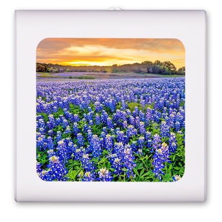 Plug in Dimmable LED Night Light with Dusk to Dawn Auto Sensor Adjustable Brightness Warm Light Auto On/Off Nightlight for Bathroom Hallway Nursery Bedrooms - Blue Bonnets