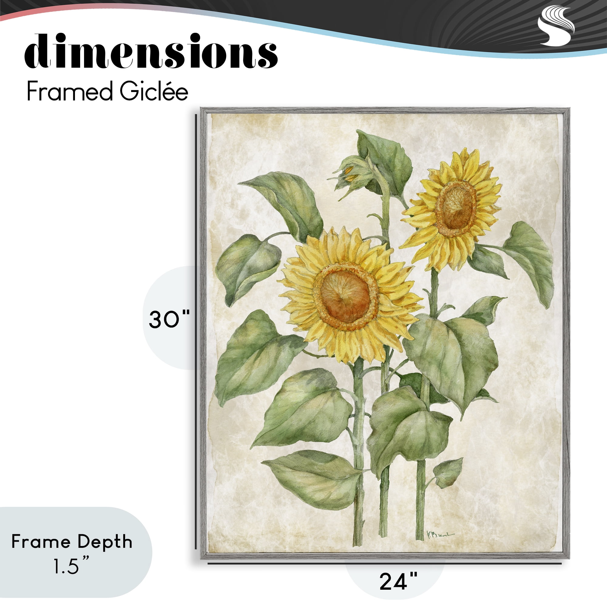 Stupell Industries Floral Journal Vintage Sunflower Gray Framed Giclee Art, design by Paul Brent