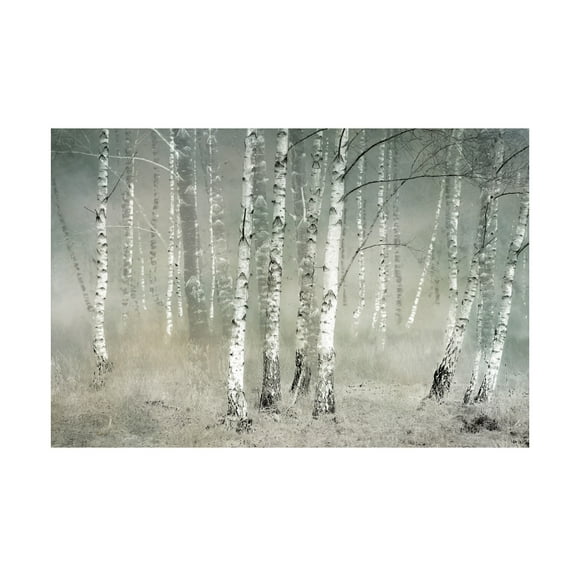 Canvas Wall Art - Nel Talen 'Morning Silence' Wall Art for Living Room, Bedroom, or Office Décor by Trademark Fine Art - 19 x 12 Inches