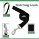thumbnail image 5 of Fashionable Color Matching No Choke Dog Harness and Leash Set for Small Dogs/Big Cats Walking Jogging Hikking, ( Small, Orange), 5 of 5