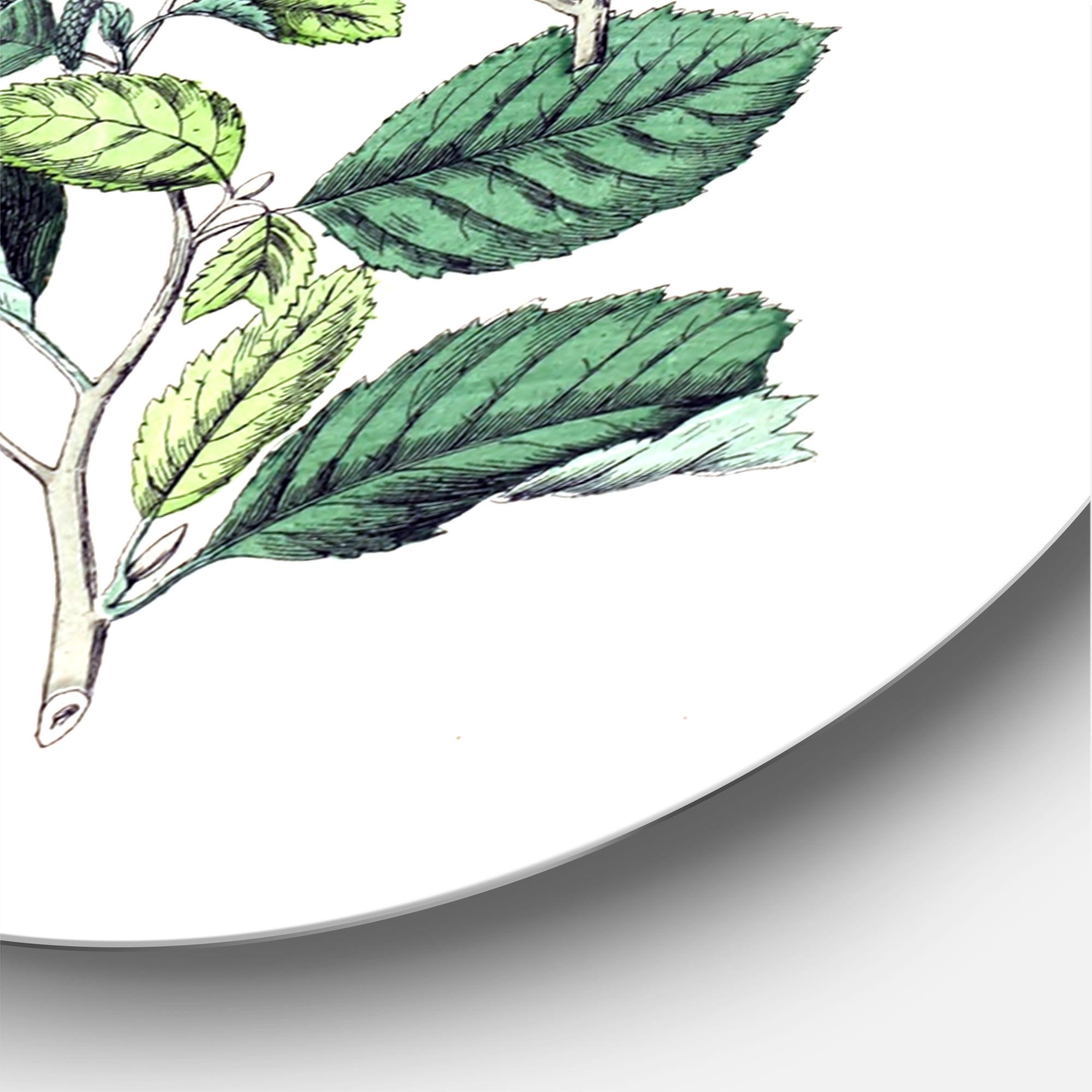 Designart 'Ancient Botanicals VIII' Traditional Circle Metal Wall Art 11x11 - Disc of 11