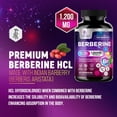 thumbnail image 3 of Suplemento Nature's Nutrition Berberine HCL 1200 mg 60 cápsulas, 3 of 8