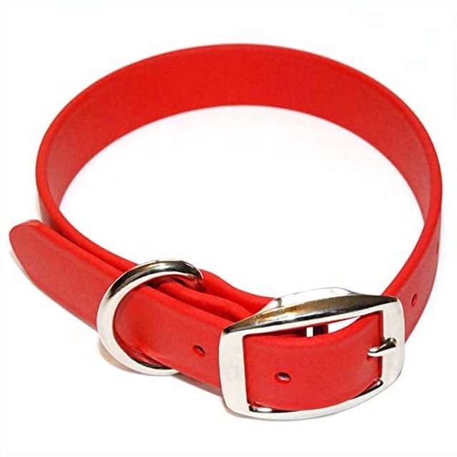 Regal Dog Products Collar para perro impermeable de color rojo grande con doble hebilla resistente y anillo en D | Collares ajustables para mascotas con revestimiento de vinilo y ajuste personalizado