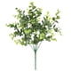 thumbnail image 1 of Plantas artificiales Bewildely decoración interior exterior eucalipto verde 35*6*1 cm, 1 of 6