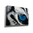 thumbnail image 2 of Epic Graffiti 'Tiger Eye' by Jan Henderson, Giclee Canvas Wall Art, 54"x40", 2 of 8