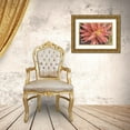 thumbnail image 3 of Berzel, Erin 24x17 Gold Ornate Wood Framed with Double Matting Museum Art Print Titled - Aloe I, 3 of 4
