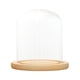 thumbnail image 2 of 2x de Visualización Soporte de Microciencia Base de E 12x12cm perfecl Cúpula transparente con base de madera, 2 of 8