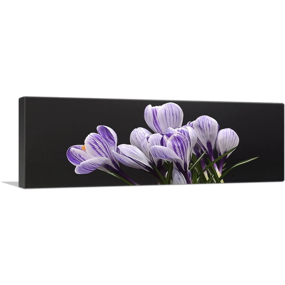 ARTCANVAS Purple Crocus Home Décor Canvas Art Print - Size: 36" x 12" (0.75" Deep)