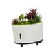 thumbnail image 3 of Difusor de aceites esenciales Gloria humidificador con altavoz y planta realista 200 ml, 3 of 9