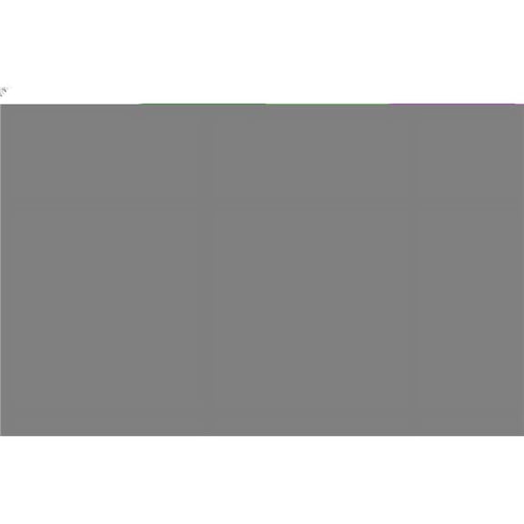 Silky Replacement Blade Only GOMTARO 300mm Pro-Sentei Dual Teeth (109-30)