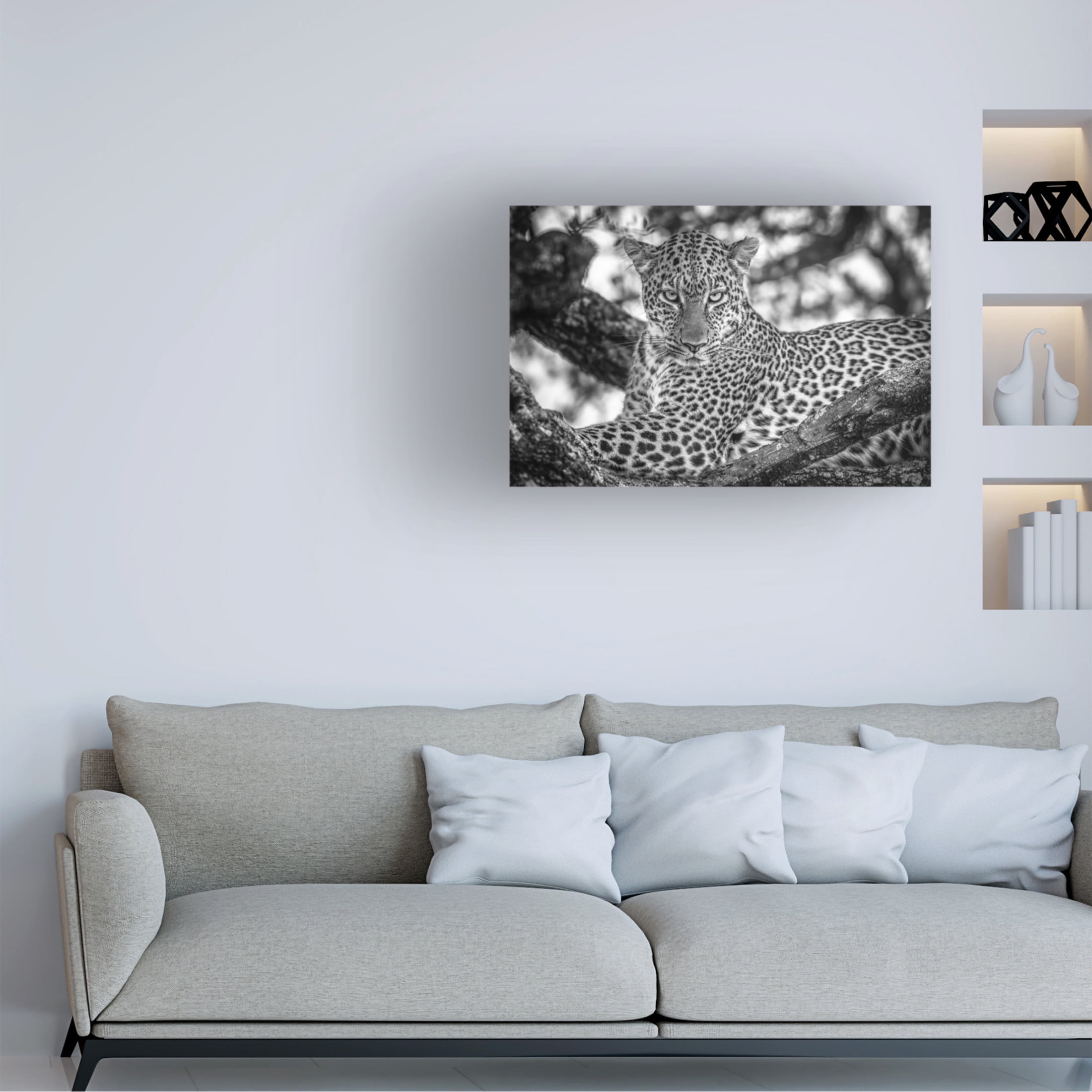 Canvas Wall Art - Jeffrey C. Sink 'Monochrome Beauty' Wall Art for Living Room, Bedroom, or Office Décor by Trademark Fine Art - 24 x 16 Inches