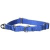 PetSafe Martingale Collar, 3/8" Petite, Royal Blue