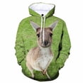 thumbnail image 3 of Ropa de anime con estampado de canguro para niños y niñas, chaqueta para hombre y mujer, sudaderas con cremallera, ropa de calle, sudaderas con capucha de gran tamaño para otoño para niños, 3 of 5