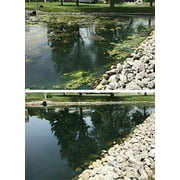 Crystal Plex 1 Gal. Liquid 1-Acre Coverage Area Algae Control Step 3 Gallon