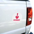 thumbnail image 4 of IT: Chapter 2 I Love Derry Automotive Car Window Locker Circle Bumper Sticker, 4 of 7