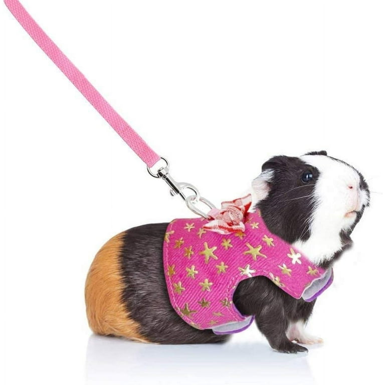 Guinea pig leash clearance walmart