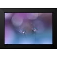 thumbnail image 2 of Nan, Juliana 24x17 Black Modern Framed Museum Art Print Titled - ~O~O~, 2 of 5