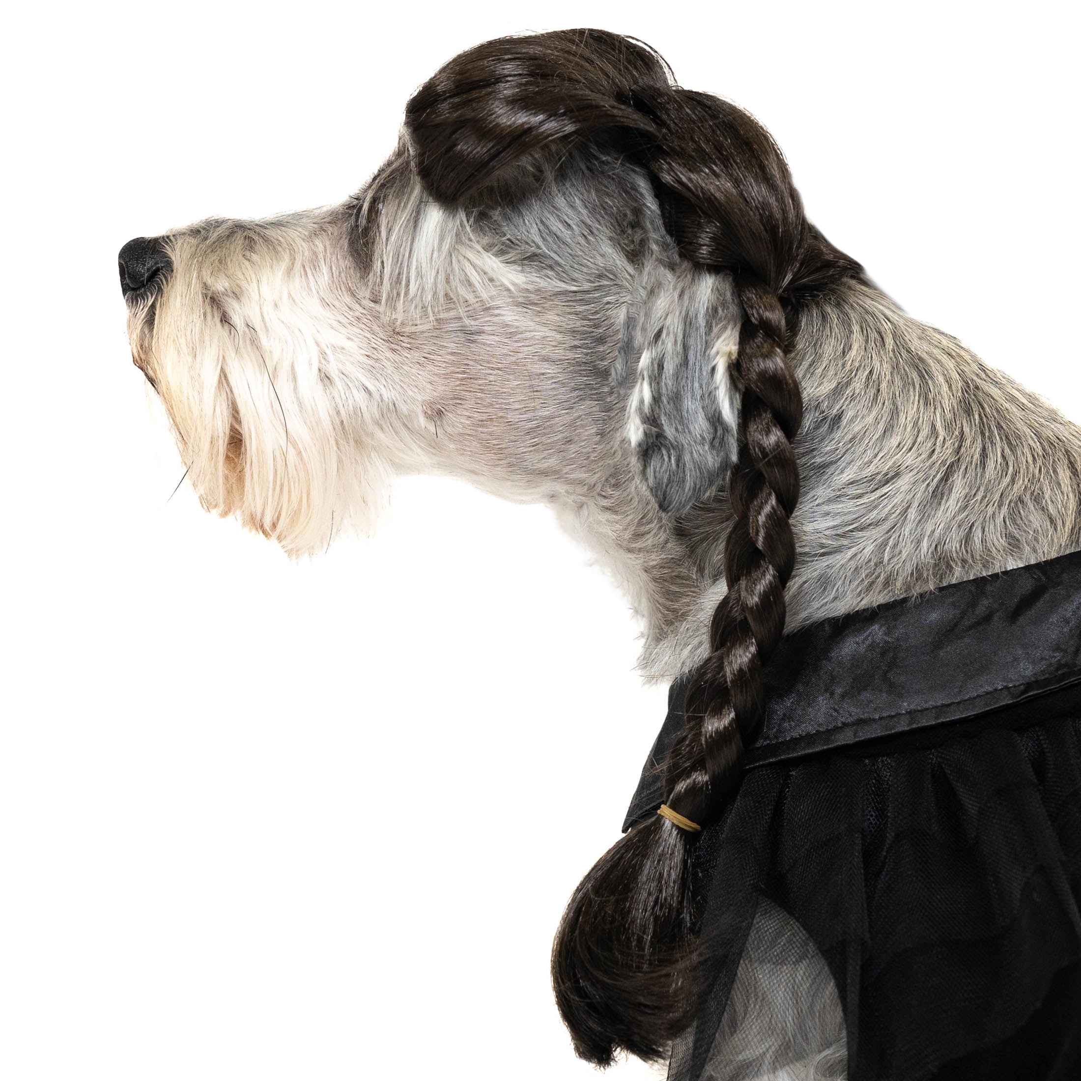 Vibrant Life Halloween Gothic Girl Costume for Dogs, Black, Medium