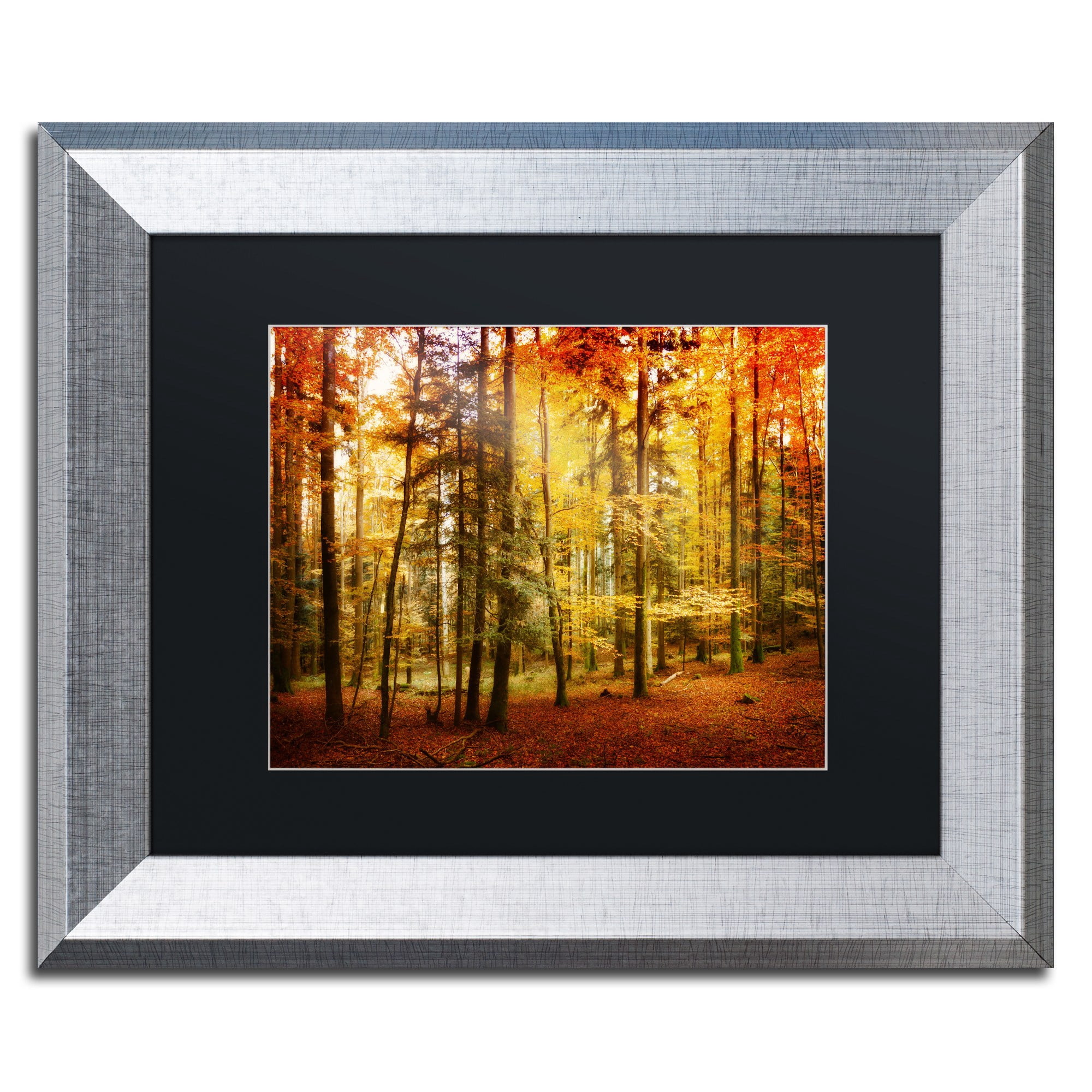 Trademark Fine Art "Fall Color" Canvas Art by Philippe Sainte-Laudy Black Matte, Silver Frame