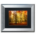 thumbnail image 2 of Trademark Fine Art "Fall Color" Canvas Art by Philippe Sainte-Laudy Black Matte, Silver Frame, 2 of 5