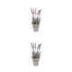 thumbnail image 3 of Advancent Belleza botánica con arreglo de flores artificiales Purificador de aire Arreglo Artificial Greener Artificial Bonsai Type2 NO2, 3 of 6
