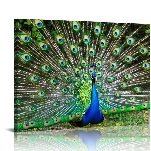 Creowell Peacock Feathers Wall Decor Canvas Art Ready To Hang 16x12in