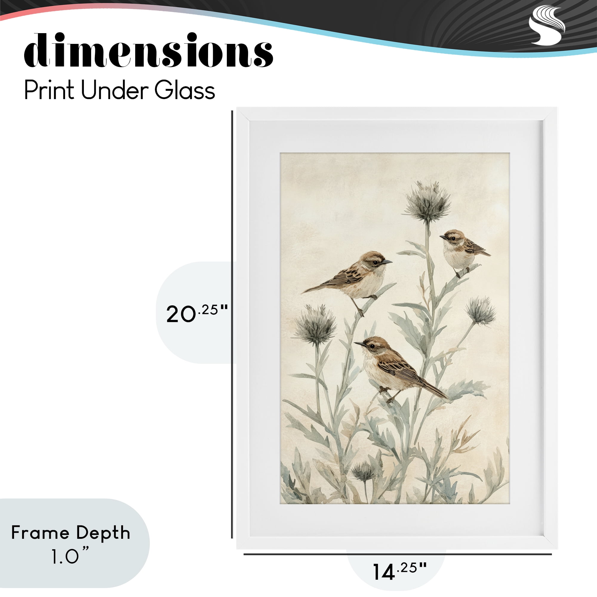 Stupell Industries Sparrows on Thistle Stems White Framed Print Under Glass, design by Petal Prints Design
