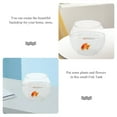 thumbnail image 4 of ADDHAT Clear Glass Fish Bowl Aquarium Tank with Feeding Container for Home Decor and Tabletop Display, 4 of 7