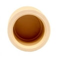 thumbnail image 7 of Charlotte Pipe CTS02116C0600 Drain Cap FlowGuard 1/2" Slip CPVC, 7 of 7