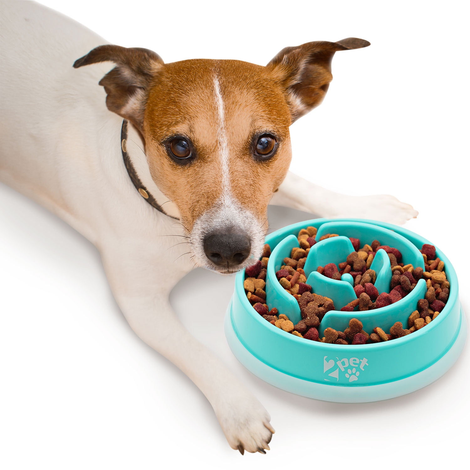 walmart slow feeder dog bowl