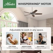 Hunter 52 inch Indoor Ceiling Fan No Light with Pull Chain - Ceiling Fan without Light, Standard Mount, 5 Blades, For Bedroom, Living Room, or Kitchen - Builder Elite 53241, Brushed Nickel