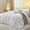 02 - White, variant on Queen Size Comforter Set, Beige Soft Prewashed Bedding for All Seasons, 3 Pieces GentleSoft â„¢ Warm Down Alternative Bed Set, 1 Lightweight Comforter (90"x90") and 2 Pillowcases (20"x26")