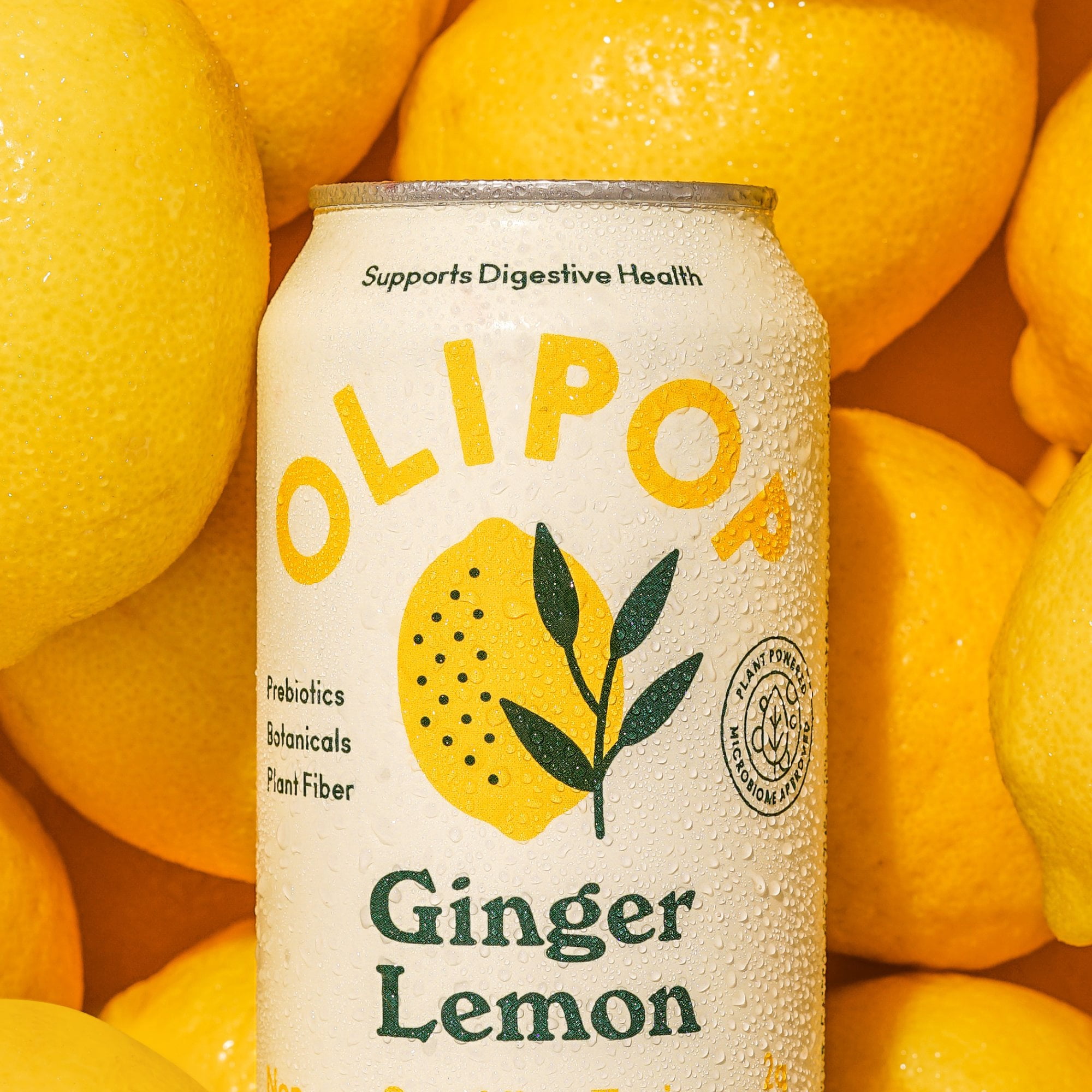 Olipop Prebiotic Soda Pop, Ginger Lemon, High Fiber, 12 fl oz 12 Pack
