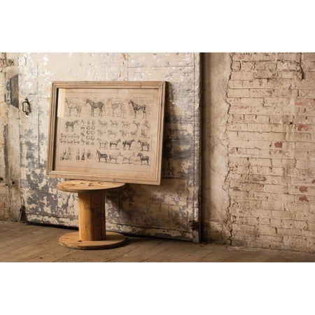 Kalalou French Equine Anatomy Chart Under Glass CHH1012