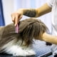 thumbnail image 4 of Fiudx Peine para Cuidado de Mascotas, Cepillo de Acero Inoxidable para Perros, Peine para Enredos con Mango de Goma para Gatos, Elimina El Pelo Suelto, Apto para Todas Las Razas, Diseño Ergonómico de, 4 of 5