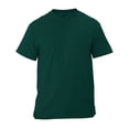 thumbnail image 1 of Playera Fruit Of The Loom para Hombre, para Hombre Básica Cuello Redondo de Manga Corta Verde Pino Talla M, 1 of 4