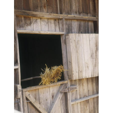 Hay and a Pitchfork in a Barn, Organic Farm, Goats Barn, Ashland, Oregon Print Wall