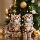 thumbnail image 5 of Christmas Cats Collar With Bells - 1 Pack Red Green Christmas Kittens Collar Christmas Collar For Kittens, 5 of 6