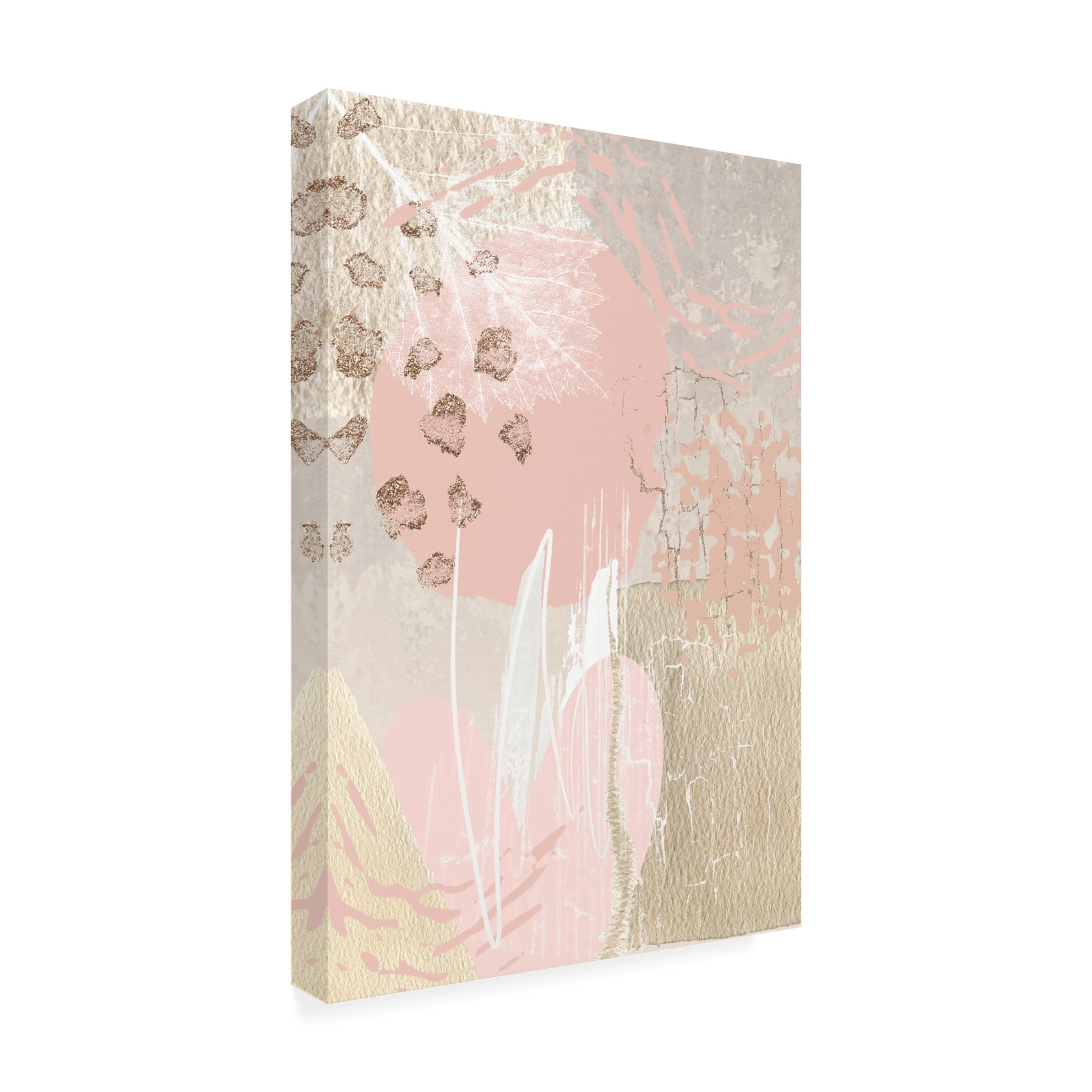 Trademark Fine Art Sally Ann Moss Morning Pink 3 Canvas Wall Art