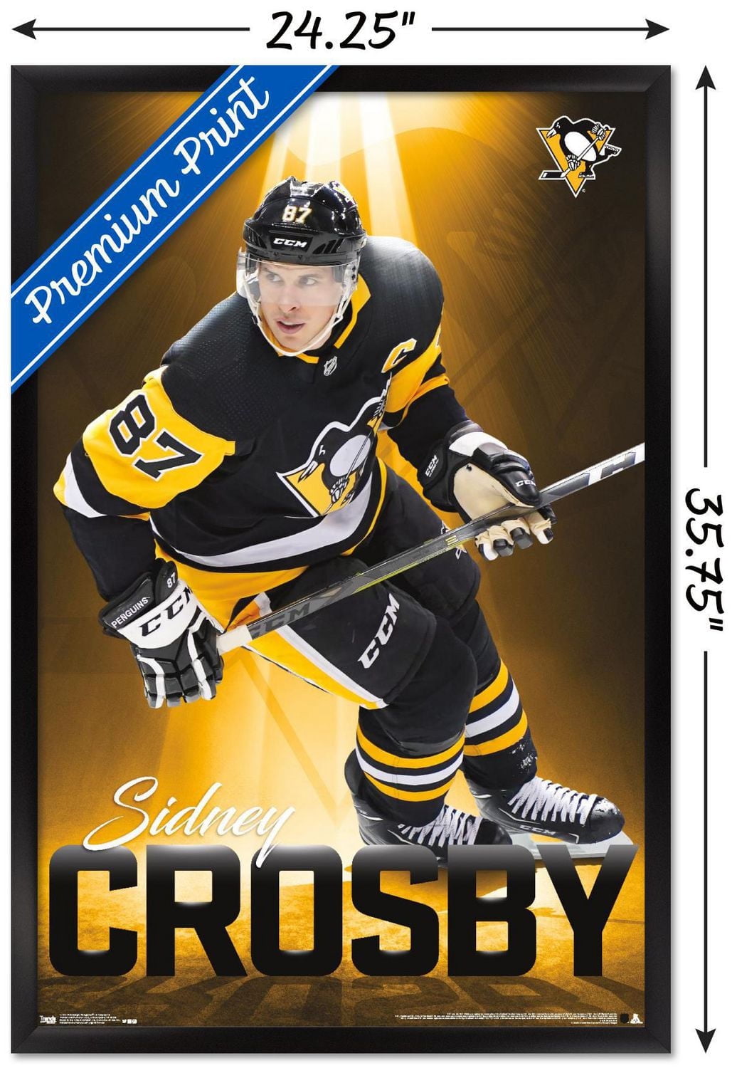 NHL Pittsburgh Penguins - Sidney Crosby 18 Wall Poster