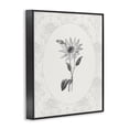 thumbnail image 2 of Stupell Industries French Country Antique Botanical & Lace Black Framed Giclee Art, 11 x 14, by CAD Designs, 2 of 8